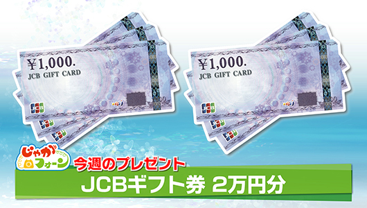 JCBギフト券2万円分
