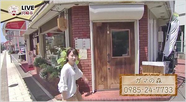 わふうぱすた ガマの森