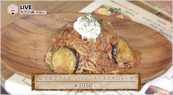 わふうぱすた ガマの森