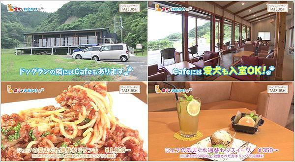 Dog Cafe+Run TATSUISHI