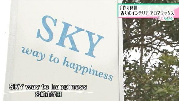 SKY way to happiness