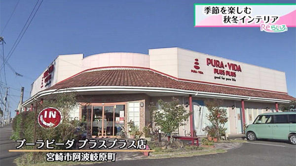 プーラビーダ プラスプラス店