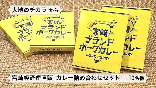 宮崎経済連直販 カレー詰め合わせセット