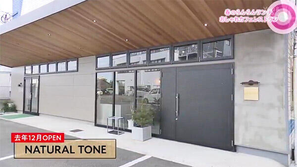 NATURAL TONE ナチュラルトーン