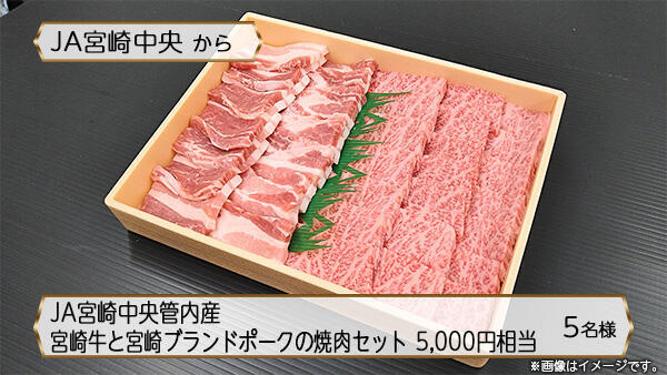 JA宮崎中央管内産 宮崎牛と宮崎ブランドポークの焼肉セット