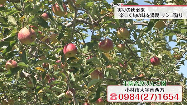 生駒高原りんご園
