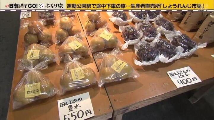 生産者直売所 しょうれんじ市場