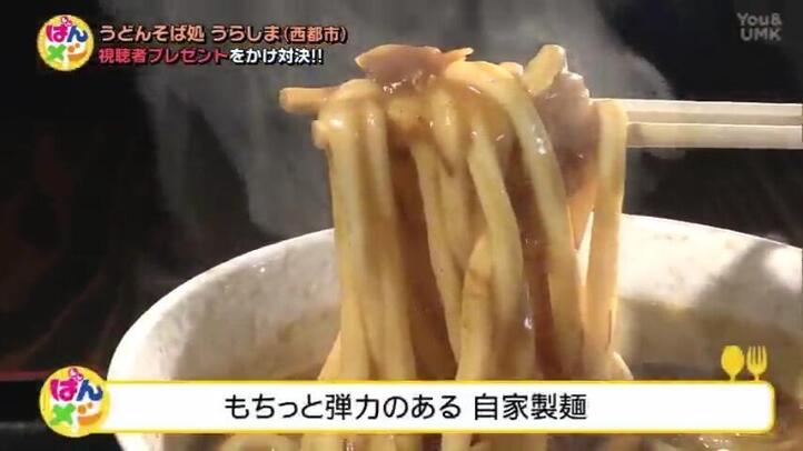 うどんそば処 うらしま