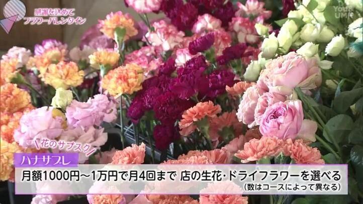 BARIS FLOWER（バルシュ フラワー）