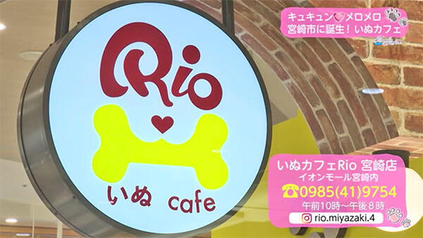 犬カフェ RIO 宮崎店