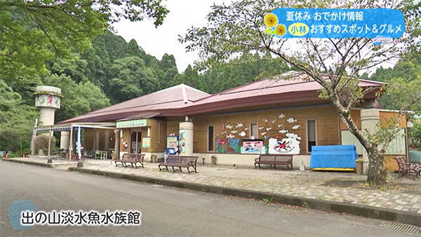 井出の山淡水魚水族館