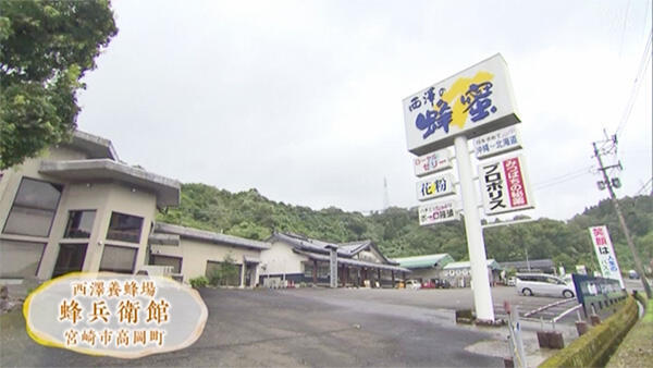 西澤養蜂場 蜂兵衛館