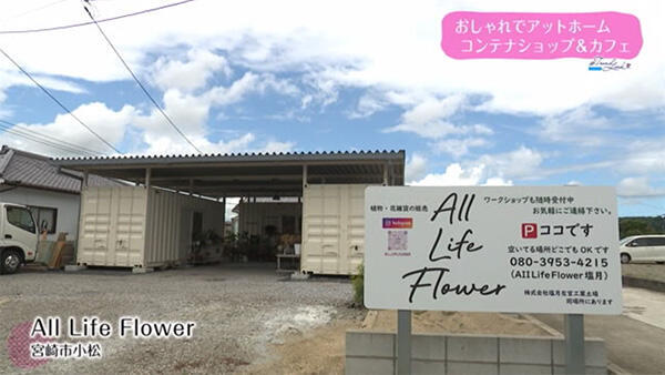 All Life Flower