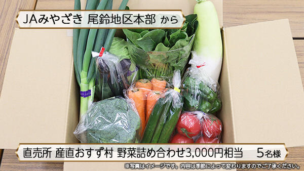 直売所 産直おすず村 野菜詰め合わせ 3,000円相当