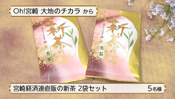 宮崎経済連直販の新茶2袋セット