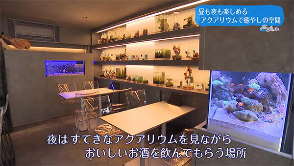 Cafe&Bar BIOS(ビオス)