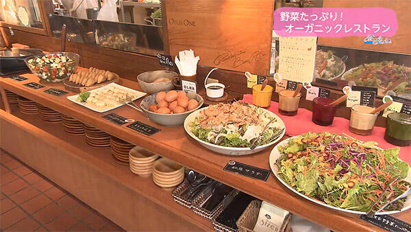 オーガニックレストラン sizen
