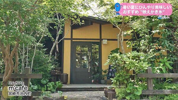 m'cafe エムカフェ