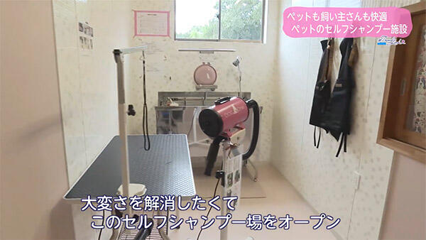 らんでぃのおうち