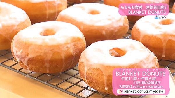 BLANKET DONUTS