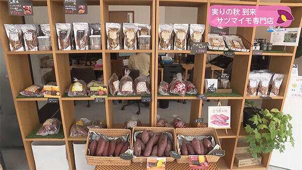 さつまいも専門店 アオイファーム