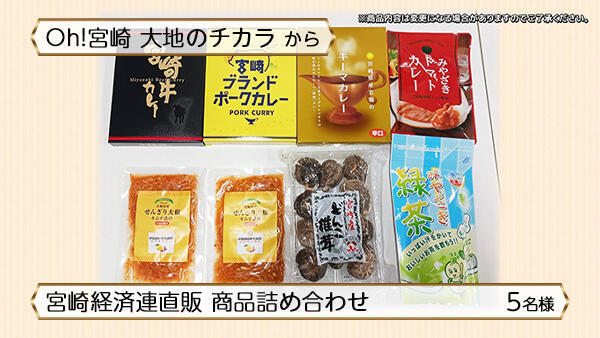 宮崎経済連直販 商品詰め合わせ