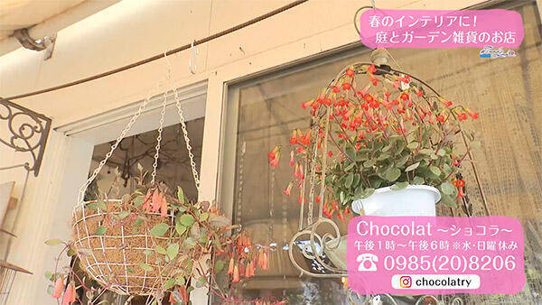 Chocolat ～ショコラ～