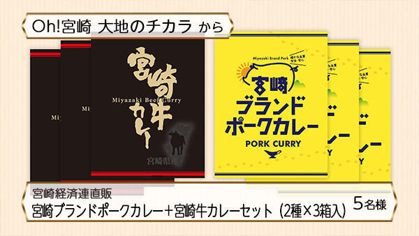 宮崎経済連直販 宮崎ブランドポークカレー＋<br>宮崎牛カレーセット（2種×3箱入）