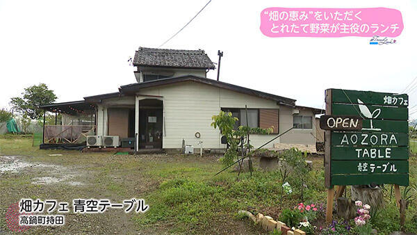 畑カフェ 青空テーブル