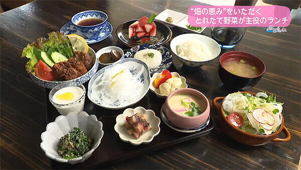 畑カフェ 青空テーブル