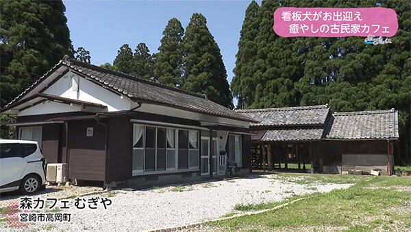 森カフェむぎや