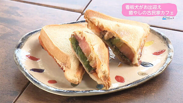 森カフェむぎや