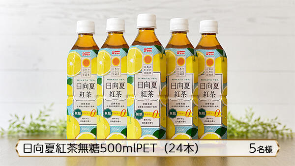 日向夏紅茶無糖500mlPET（24本）