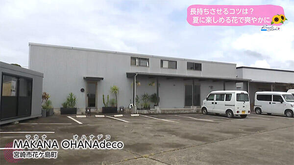MAKANA OHANAdeco（マカナ オハナデコ）