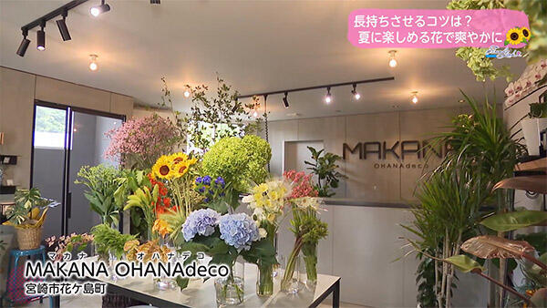 MAKANA OHANAdeco（マカナ オハナデコ）