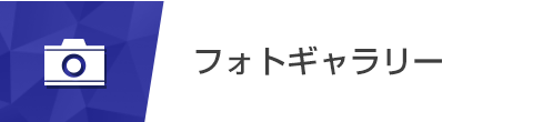 フォトギャラリー