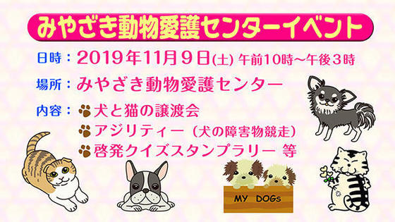 みやざき動物愛護センターイベント