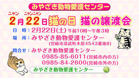 2月22日 猫の日、猫の譲渡会