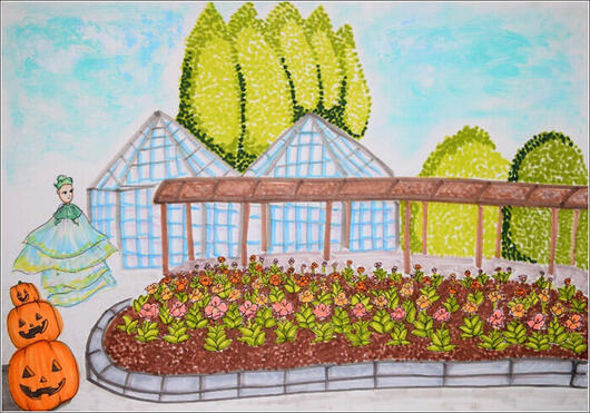 「50回記念特別賞」 小学6年生の部　野中 新太 さん