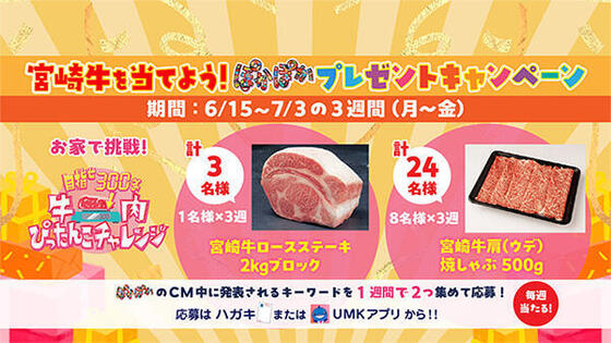 宮崎牛を当てよう！ぽかぽかプレゼントキャンペーン