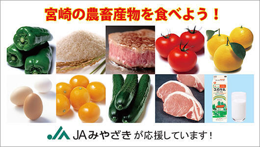 JAみやざき