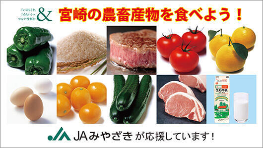 JAみやざき