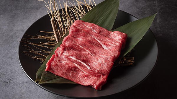 宮崎牛【肩（ウデ）焼きしゃぶ500g】　×10名