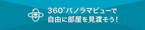 パノラマビューを表示