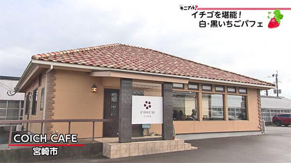 COICH CAFE｜店舗情報｜UMKテレビ宮崎