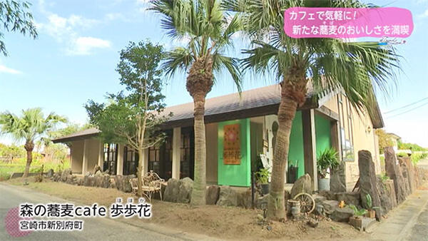 森の蕎麦cafe 歩歩花（ほほか）｜店舗情報｜UMKテレビ宮崎
