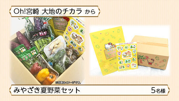 みやざき夏野菜セット｜試写会・プレゼント情報｜UMKテレビ宮崎 