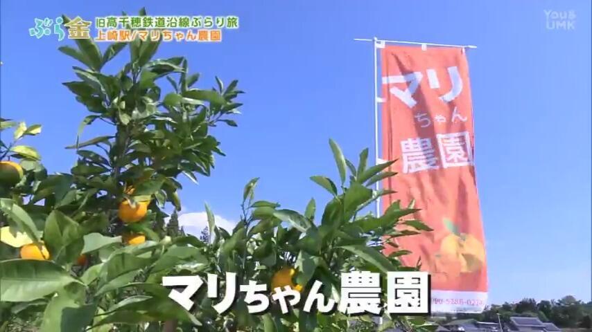 マリちゃん農園｜店舗情報｜UMKテレビ宮崎