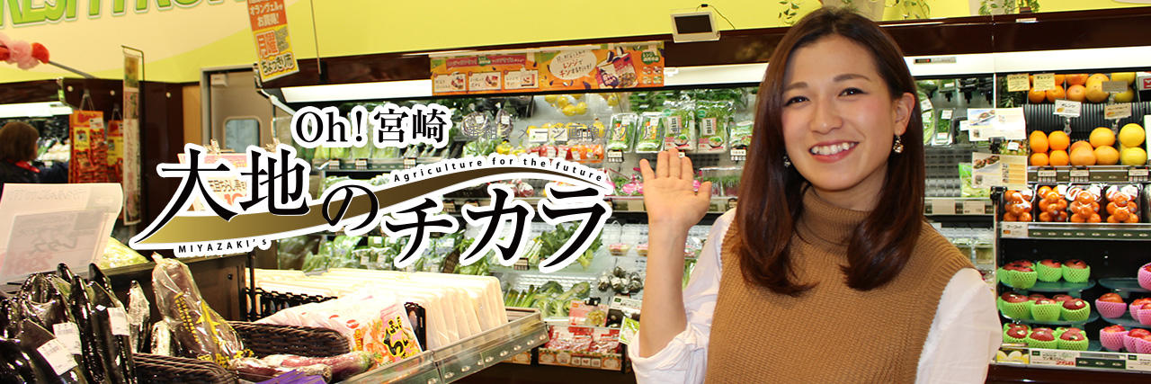 Oh!宮崎 大地のチカラ