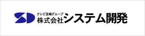 システム開発